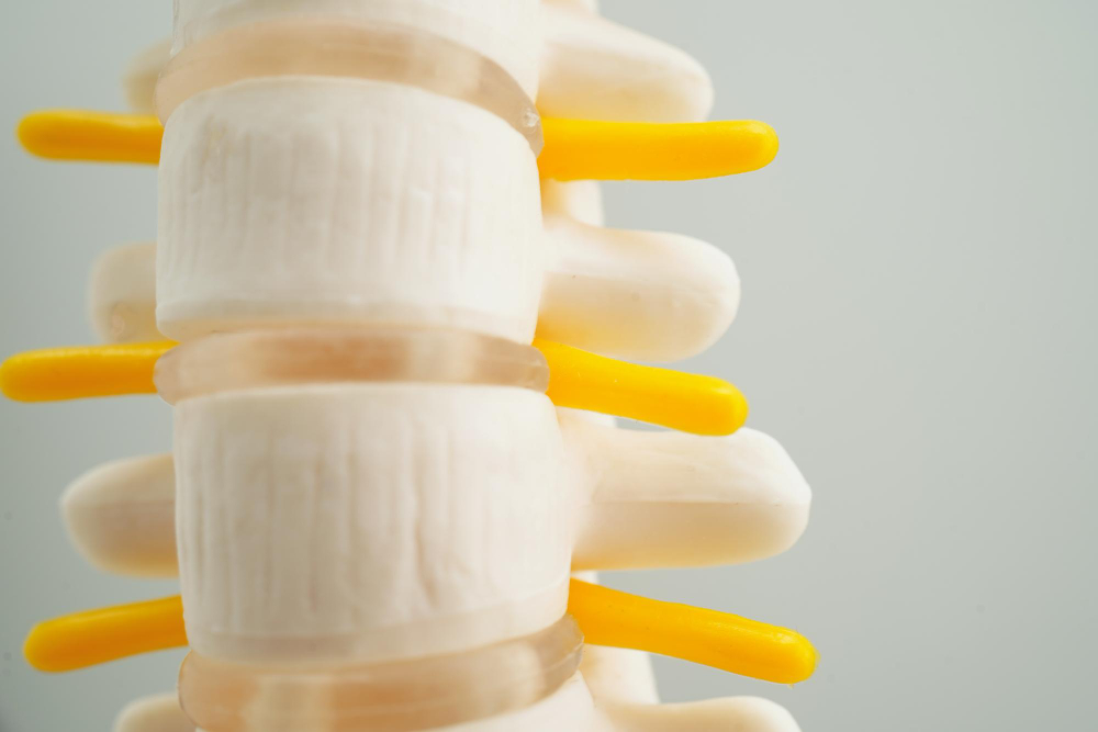 Degenerative Disc Disease  Elkton, MD